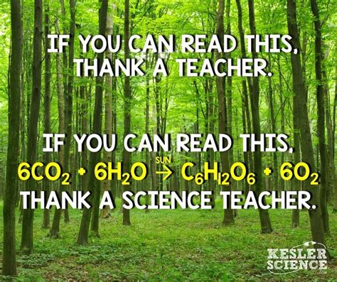 Fun Science Lessons 的图像结果