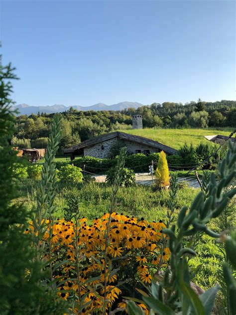 Building Green Screen 的图像结果