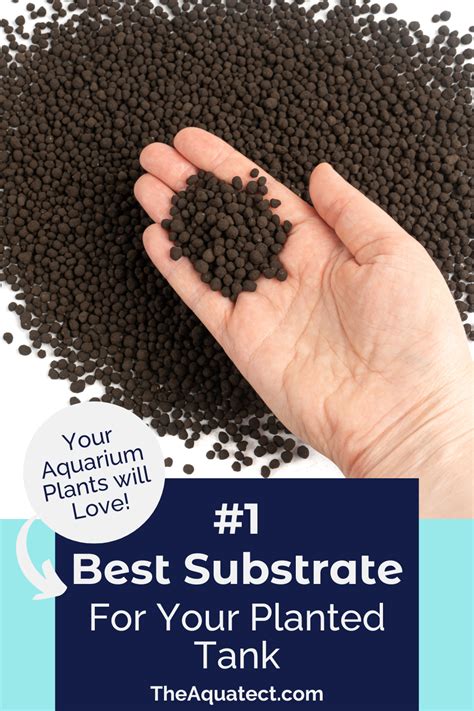 Image result for Fish Tank Substrate