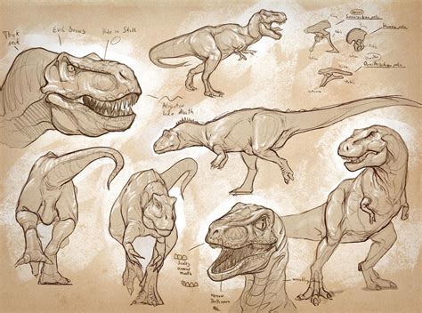 Tyrannosaurus T-Rex Drawing Reference and Sketches for Artists