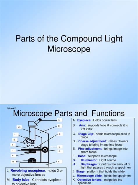 Image result for Light Switch Microscope Function