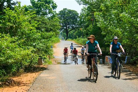 Cycling from Anuradhapura 2022 - Viator