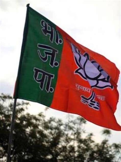 BJP goes in for Rajya Sabha overhaul