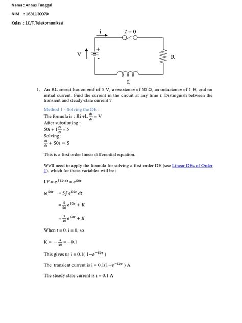 RL Circuit Tutorial 的图像结果