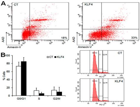 IJMS | Special Issue : Apoptosis and Autophagy: The Double Edge in ...