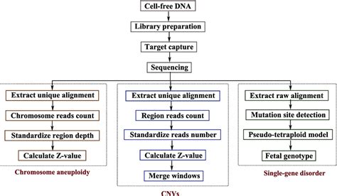 cfDNA Library Prep Process 的图像结果