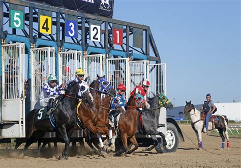 North Dakota Horse Park prepares for 20th year of horse racing in Fargo ...