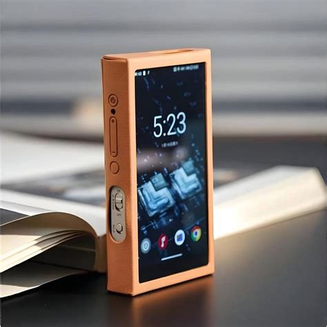 Buy the FiiO SK-M21 Leather Case for M21