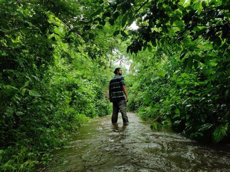 Image result for Goa Experience