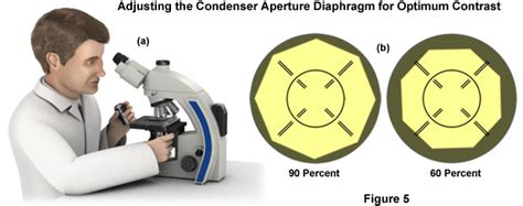 Image result for Microscope Alignment