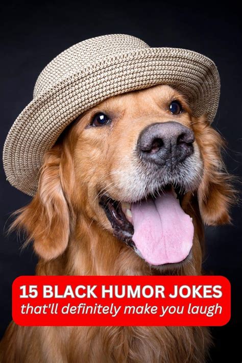 15 chistes de humor negro que definitivamente te harán reír - Roy Sutton