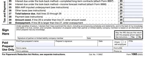 How to fill out IRS Form 1065 and Schedule K-1 for 2022 - Nina's Soap