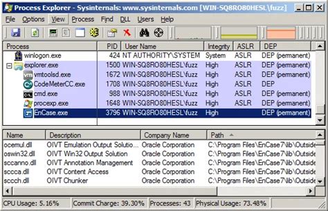 Encase Tutorial 的图像结果
