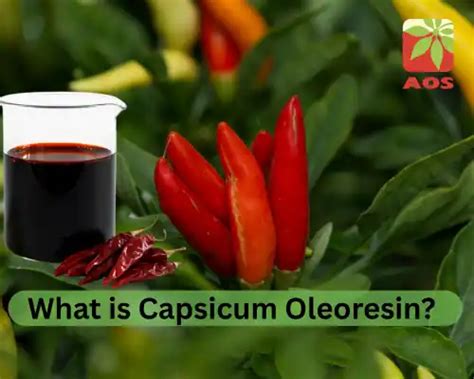 Capsicum Oleoresin: 6 Unexpected Benefits You Need to Know | AOS Blog
