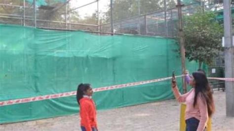 Bird flu scare: Lucknowites look for veg options! | Health