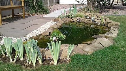 Butterfly Spanish Tutorial 的图像结果