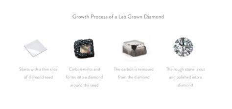 Image result for Lab-Grown Process