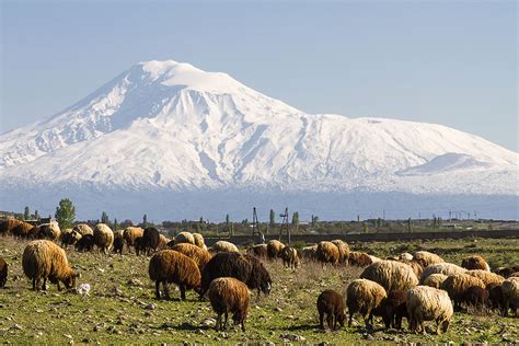 Mount Ararat – Tours to Uzbekistan & Central Asia & Caucasus