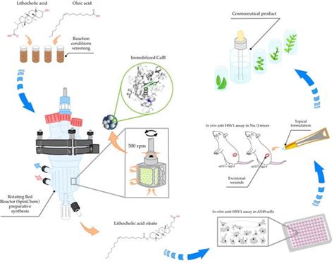 Lithocholic Acid Oleate Preparative Synthesis and Its Formulation with ...