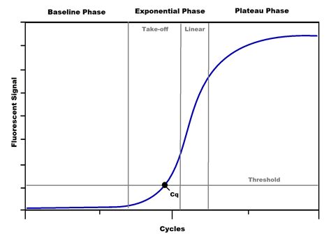 A Practical Overview of qPCR | AAT Bioquest