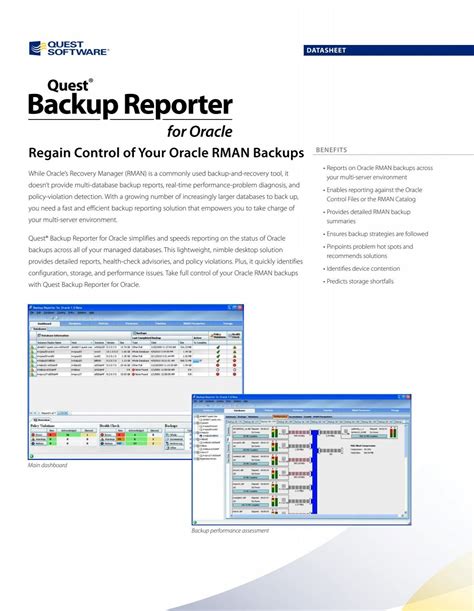 Image result for Backup Reporting Software