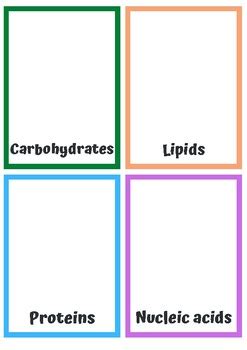 ItalianScienceTeacher Teaching Resources | Teachers Pay Teachers