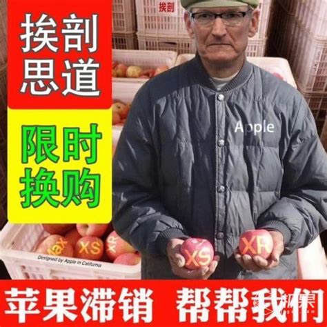 Image result for ALM Tools Python Support