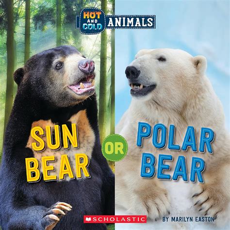 Sun Bear or Polar Bear (Wild World): 1 (Hot and Cold Animals) : Easton ...