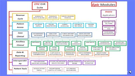 Basic Epic Chart Layout 的图像结果