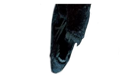 Alien Queen Head 的图像结果