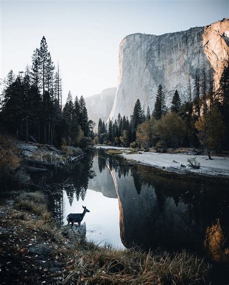 Earth on Twitter: "Yosemite National Park. https://t.co/gzrVVccjIg" / Twitter