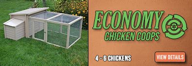 Chicken Condos.com 的图像结果