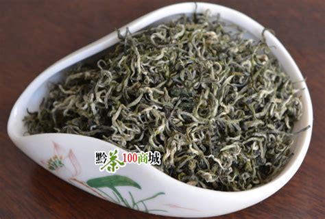 湄潭县茶园面积达60多万亩年产茶叶--贵州频道--人民网