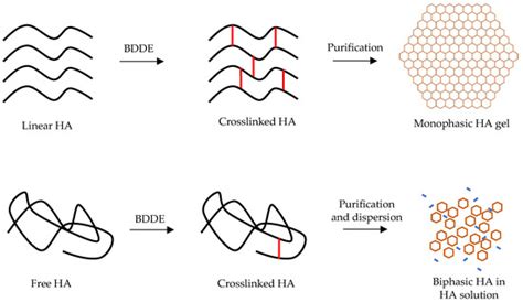 The Rheology and Physicochemical Characteristics of Hyaluronic Acid ...