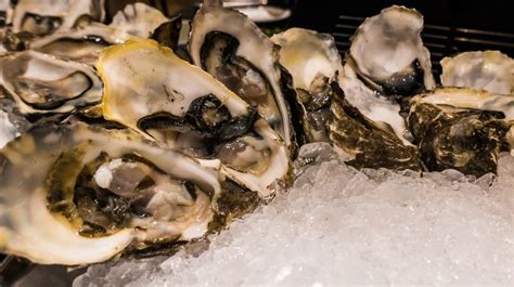 Can You Freeze Live Oysters: Ultimate Storage Guide - Reorganize All