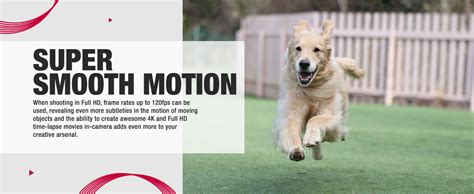 Buy Canon EOS R10 24.2MP RF-S18-150 F/3.5-6.3 IS STM Mirrorless Camera ...