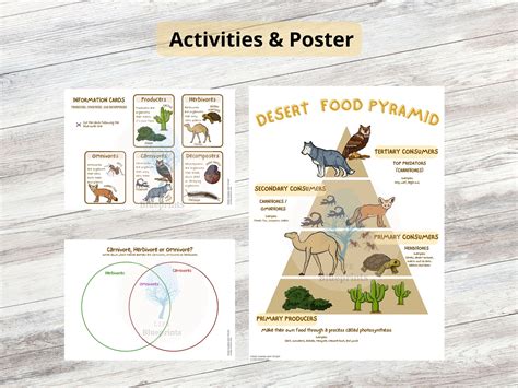 Desert Food Webs