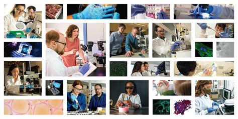 Image result for Bioengineering PhD Programs