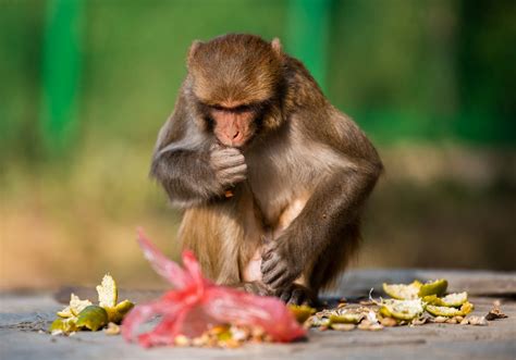 Travel Adventure Photography 的图像结果