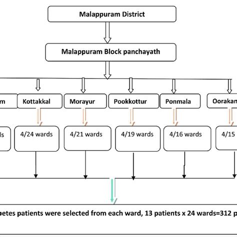 Image result for Sampling Procedure and Sample