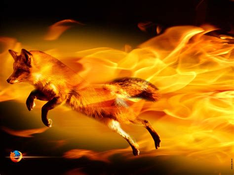 Wallpaper Mozilla Firefox Wallpapers | Wallpaper HD | Fantasie tiere ...