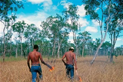 Indigenous Agriculture: Sustainable Practices for a Healthier Planet