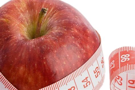 Image result for Computer Science Beach