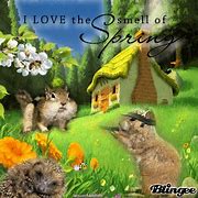 Image result for Cute Funny Bunnies in Spring