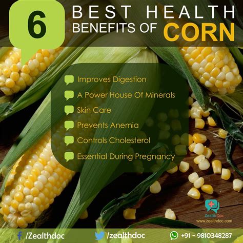 6 Best Health Benefits Of CORN! On a warm summer’s evening, nothing beats the first crunchy bite ...