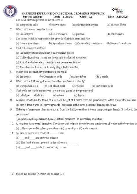 Biology Class IX Worksheet: Tissues & Phloem Elements - Studocu