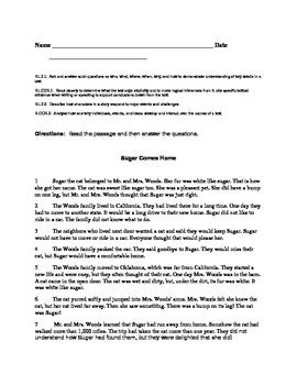 2nd Grade Inference, Characters, & Questioning Summative Assessment