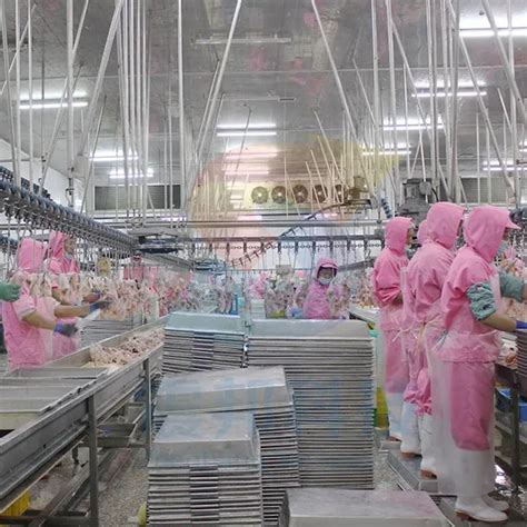 Small Commercial Chicken Processing 的图像结果