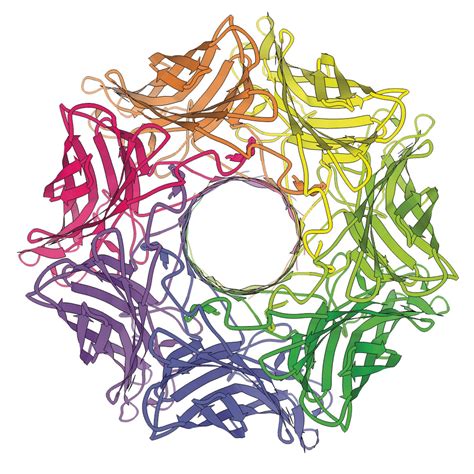 Working with pore forming toxin - I | Shorts