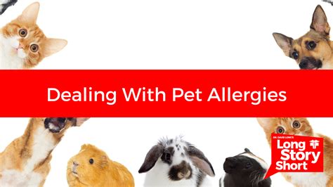 Dealing with Pet Allergies - Dr. David Long - Lubbock Cooper Health Center
